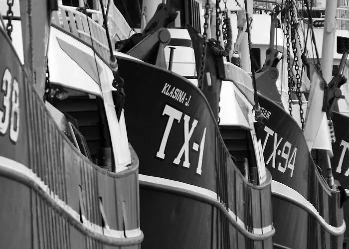 מלון דירות Roompot Strandplevier Hotelsuites